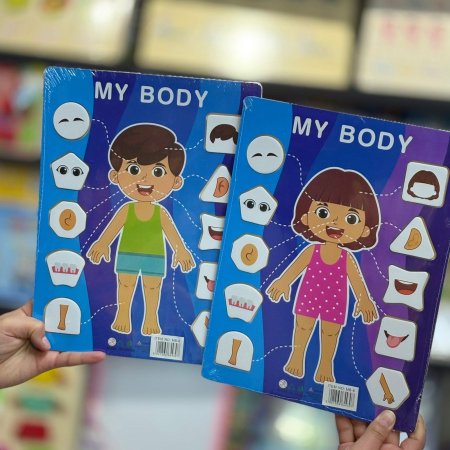 بازل جسم الانسان