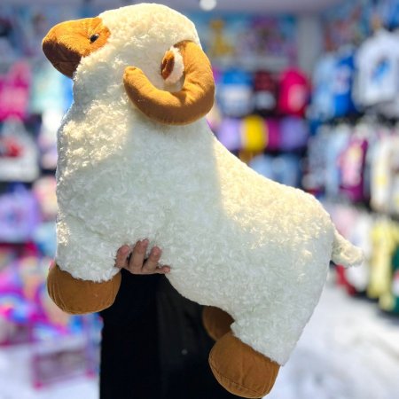 خروف ابيض 80 سم
