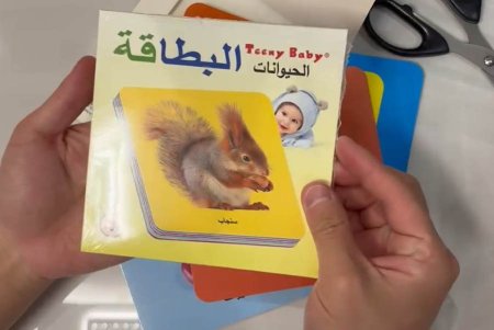 بطاقات الحيوانات
