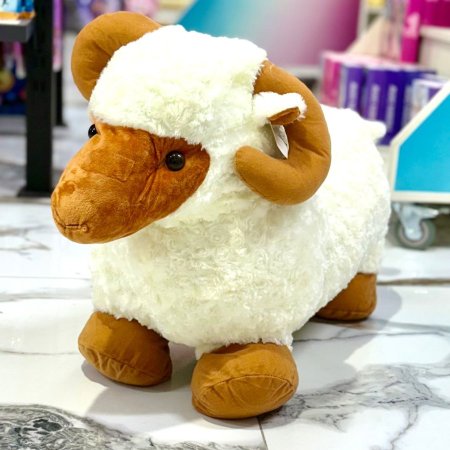 خروف العيد الابيض